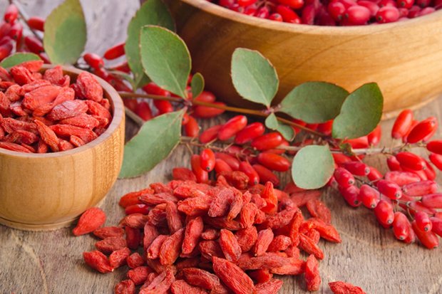 Goji Berry a campeã em antioxidantes!